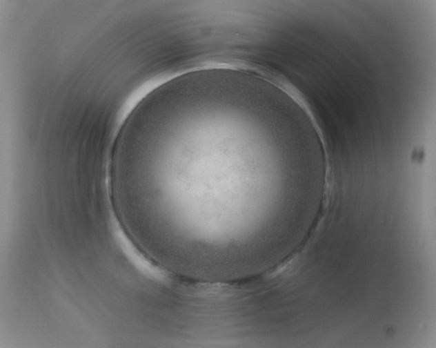 X0000114210811200910091322