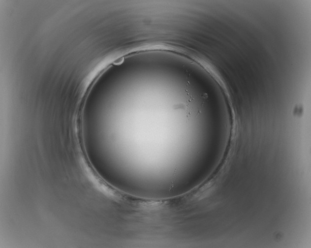 X0000114210813200910091322