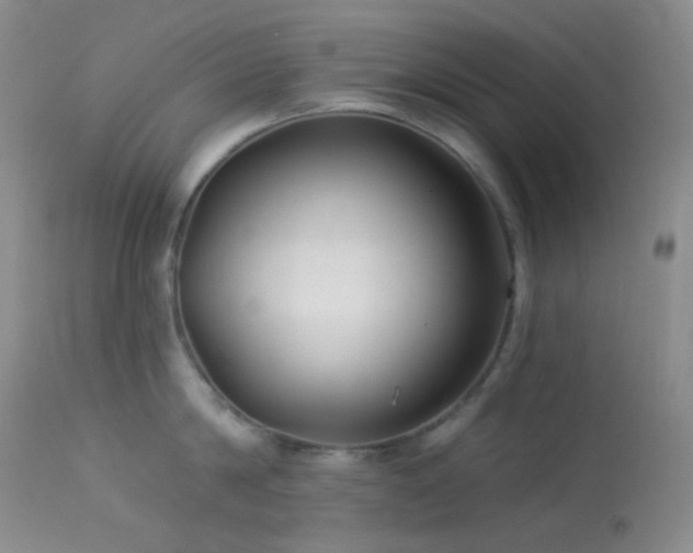 X0000114210814200910091322