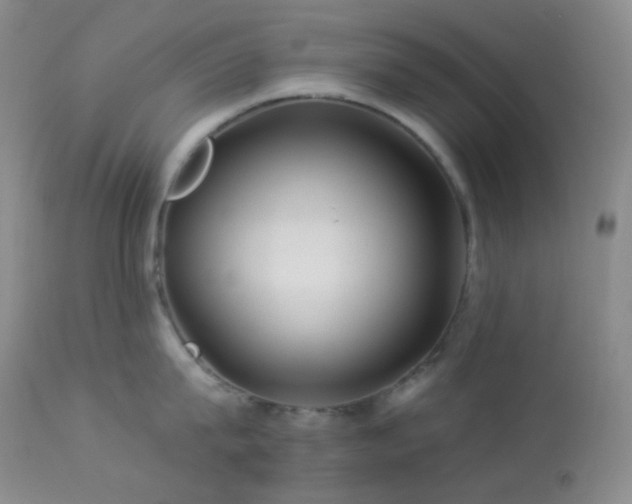 X0000114210815200910091322