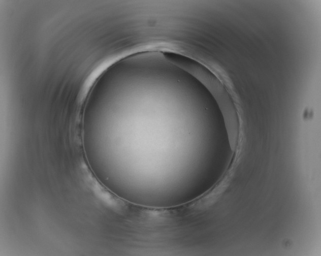 X0000114210816200910091322