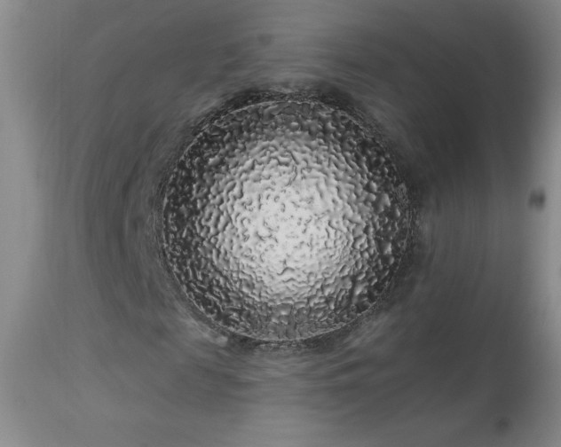 X0000114210817200910091321