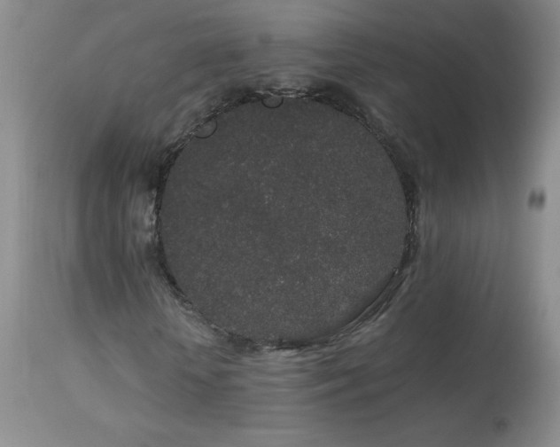 X0000114210818200910091321