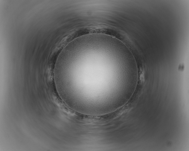 X0000114210819200910091321