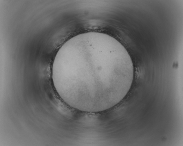 X0000114210820200910091321