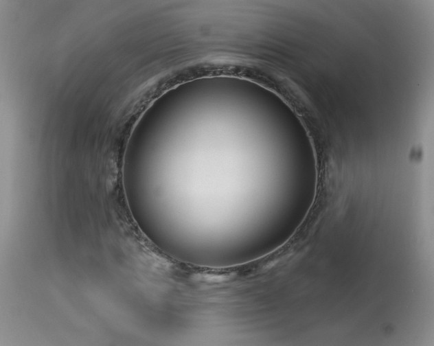 X0000114210821200910091321