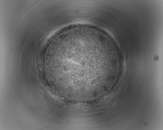 X0000114210823200910091322