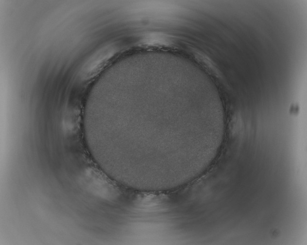 X0000114210824200910091322