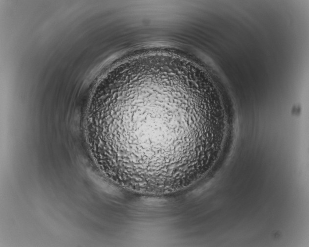 X0000114210825200910091322