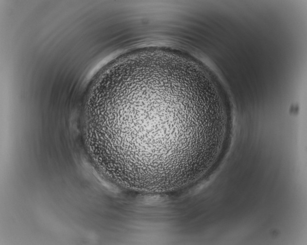 X0000114210826200910091322