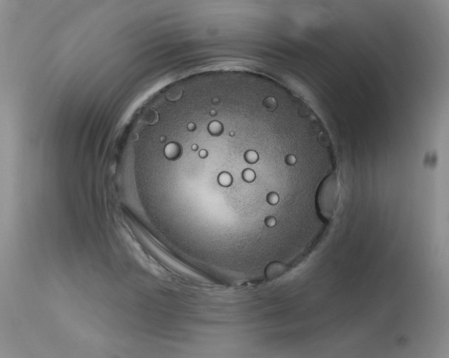 X0000114210827200910091322