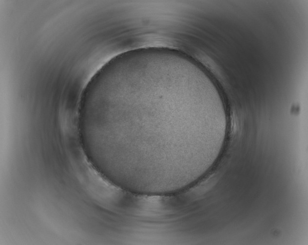 X0000114210828200910091322