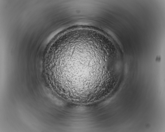 X0000114210829200910091322