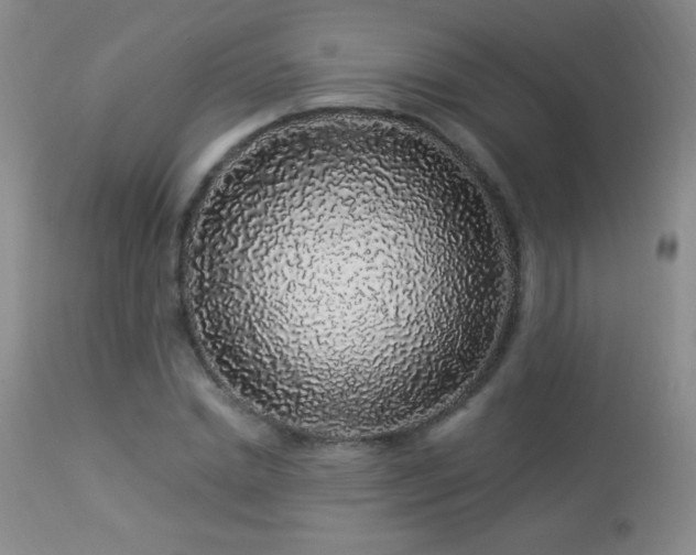 X0000114210830200910091322