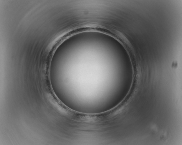 X0000114210831200910091322