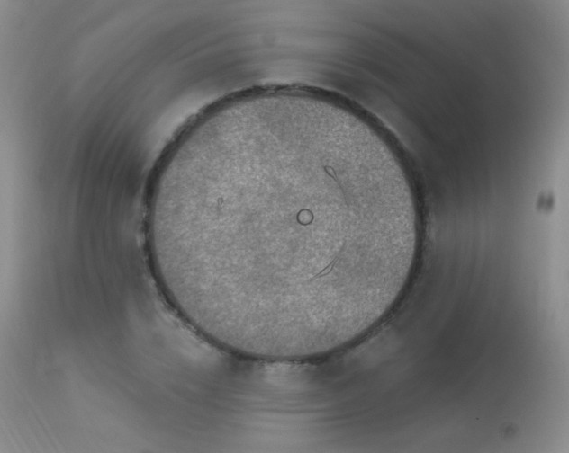 X0000114210832200910091322