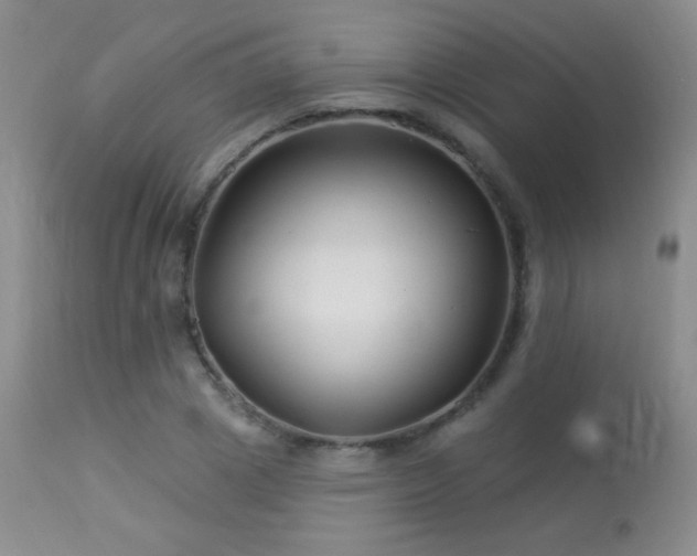 X0000114210833200910091322