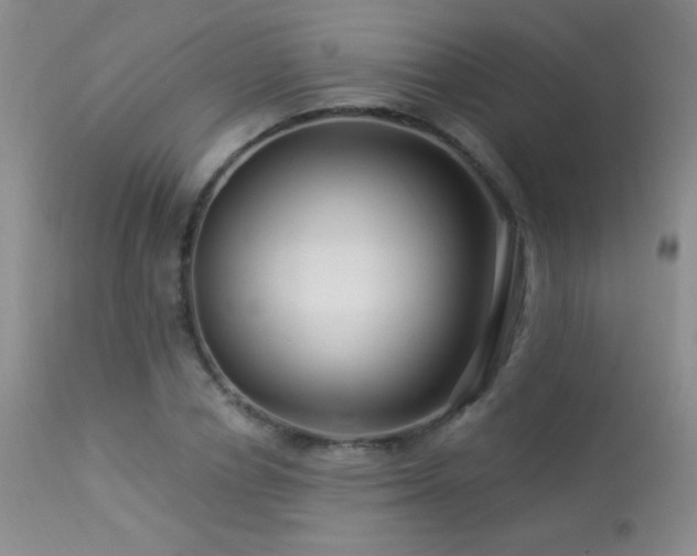 X0000114210834200910091322