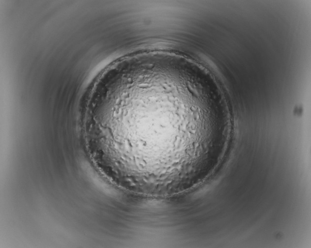 X0000114210835200910091322