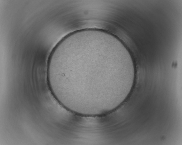 X0000114210836200910091322