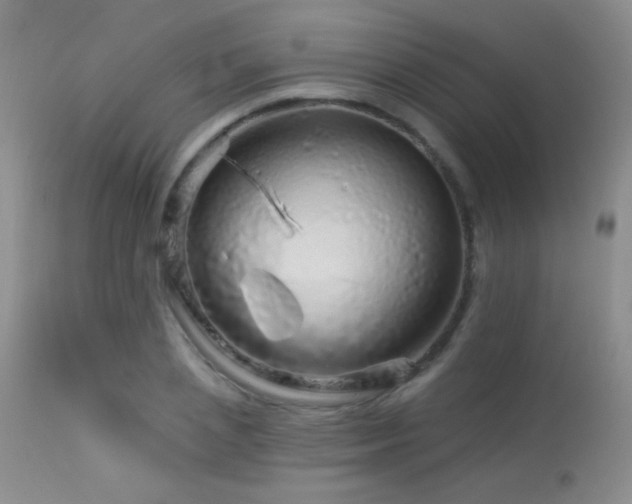 X0000114210837200910091322