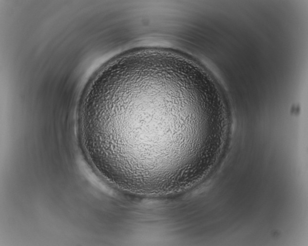 X0000114210840200910091322