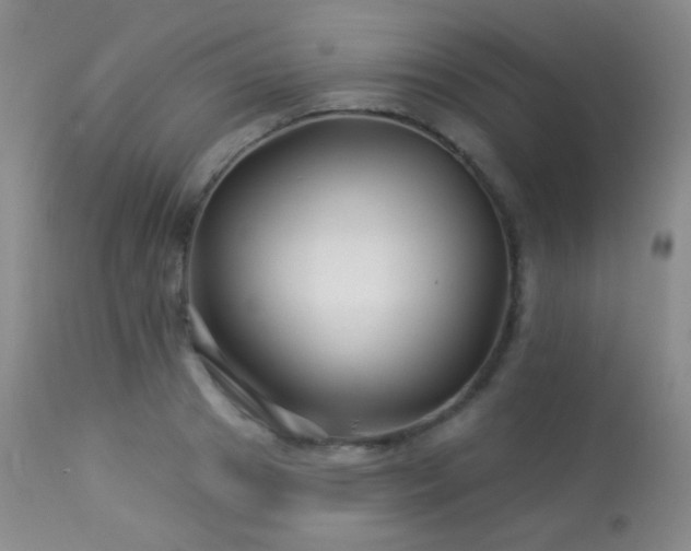 X0000114210841200910091322
