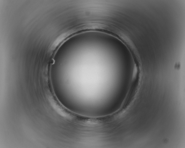 X0000114210842200910091322