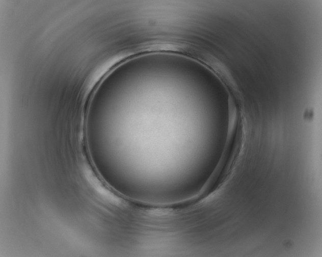 X0000114210844200910091322