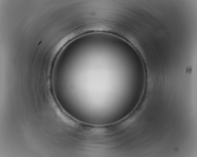 X0000114210845200910091322