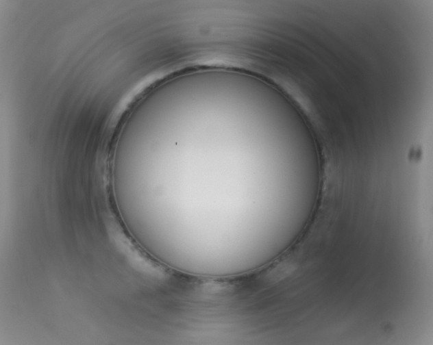 X0000114210848200910091322