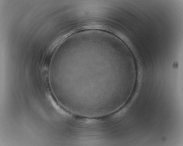 X0000114210849200910091322