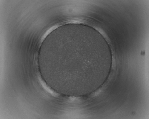 X0000114210850200910091322