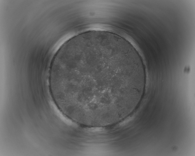 X0000114210853200910091322