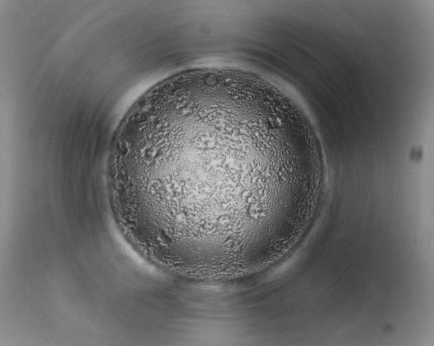 X0000114210855200910091322
