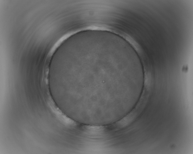 X0000114210856200910091322