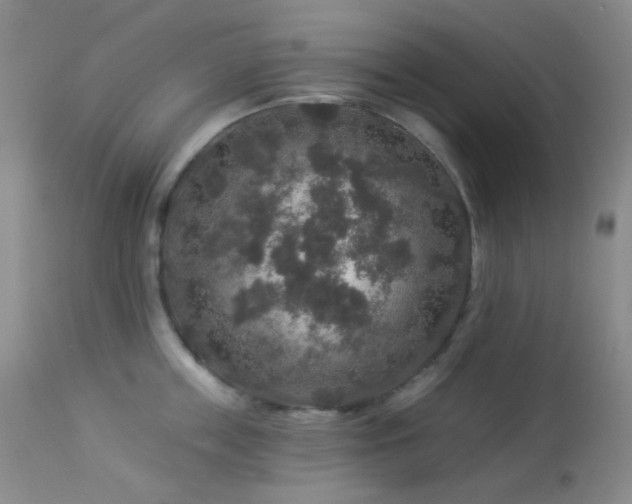 X0000114210859200910091322