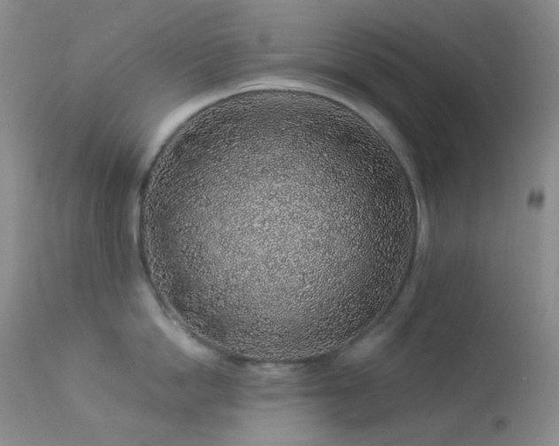 X0000114210862200910091322