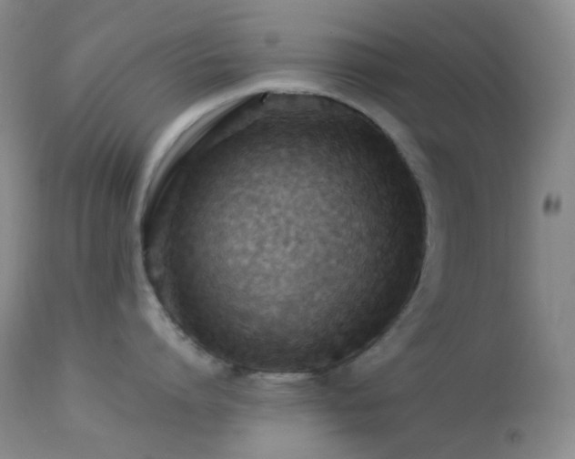 X0000114210864200910091322
