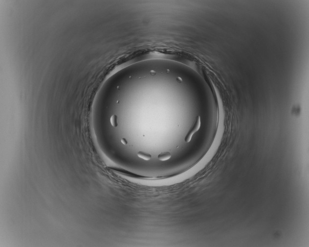 X0000114210865200910091321