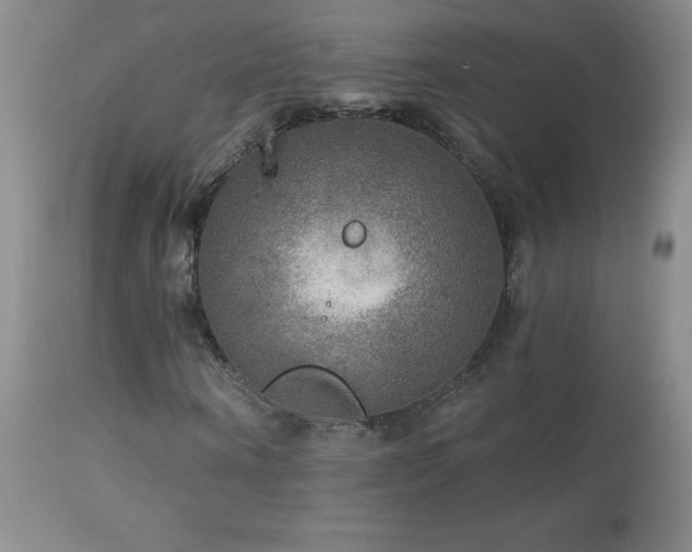 X0000114210866200910091321