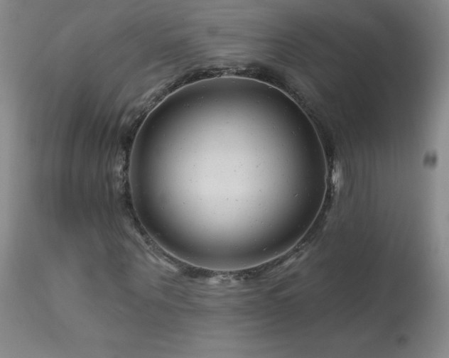 X0000114210867200910091321