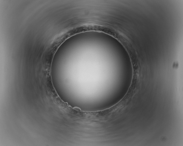 X0000114210870200910091321