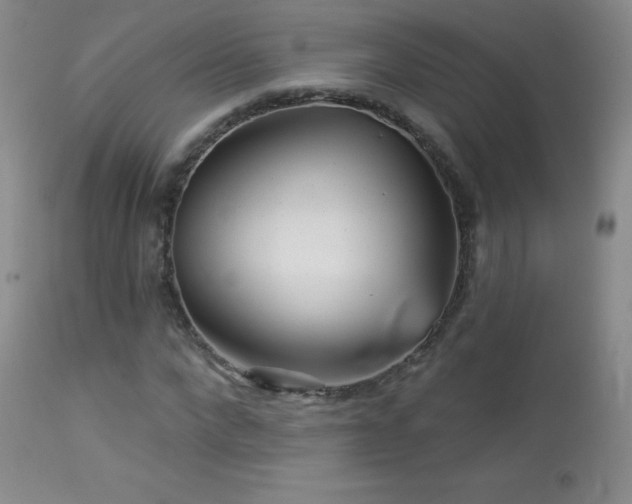 X0000114210872200910091321