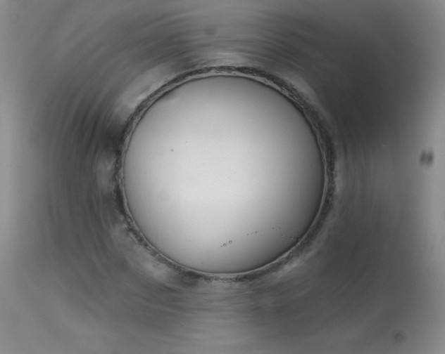 X0000114210873200910091321