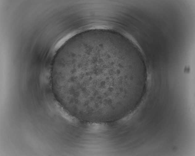 X0000114210874200910091321
