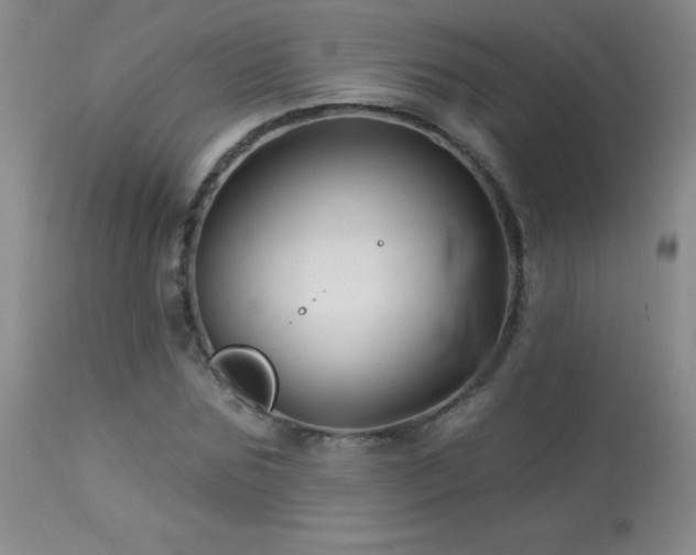 X0000114210875200910091321