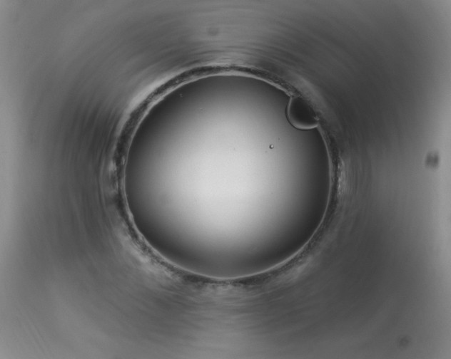 X0000114210876200910091321