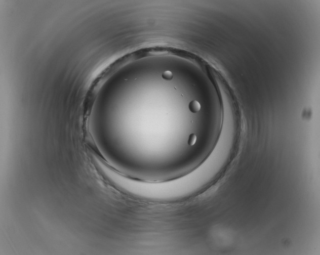 X0000114210877200910091321