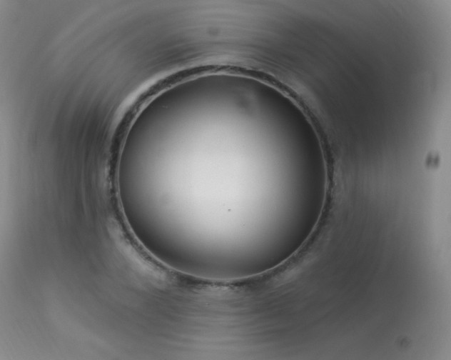 X0000114210880200910091321